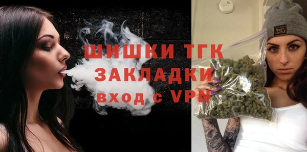 молекула духа Зеленокумск