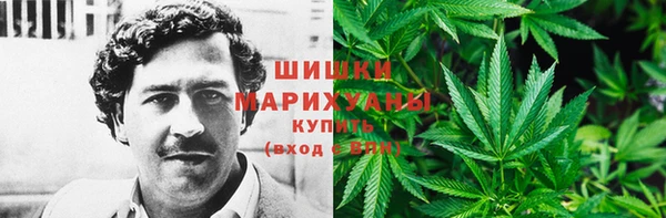 молекула духа Зеленокумск